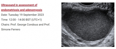 ISUOG Free Webinar: Ultrasound in assessment of endometriosis and adenomyosis