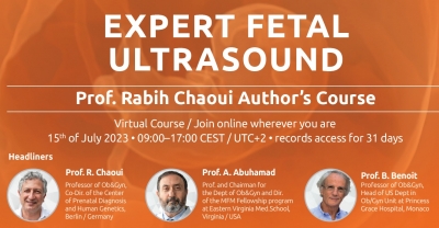 Expert fetal ultrasound