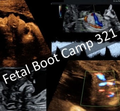 Fetal Ultrasound Boot Camp